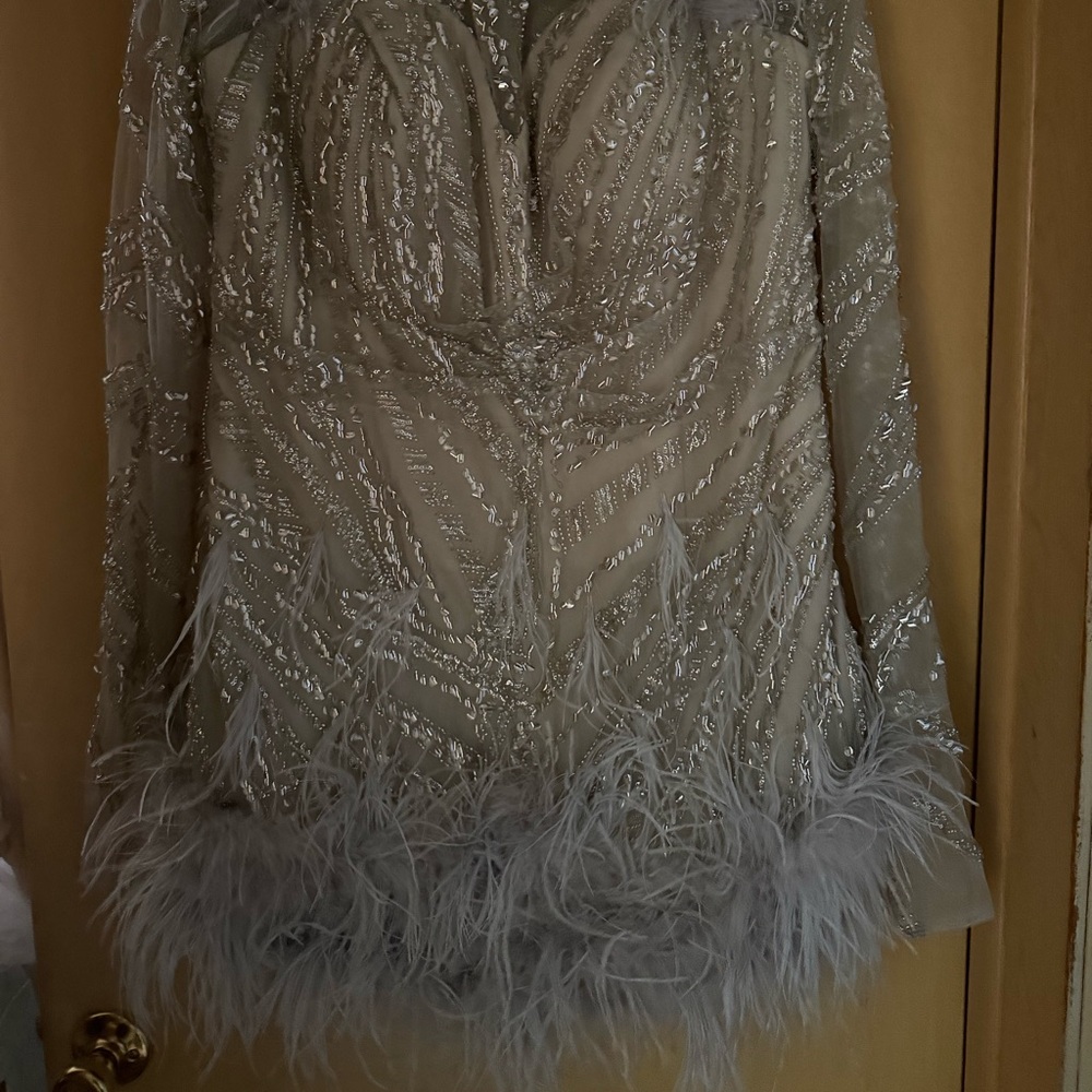 Elegant Feathered Sequin Dress